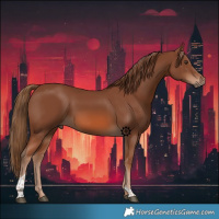 Horse Color:Chestnut Tobiano