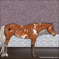 Horse Color:White Spotted Silver Bay 