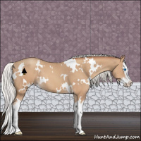 Horse Color:White Spotted Silver Classic Champagne Sabino Splash 