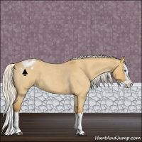 Horse Color:Silver Buckskin Roan Dun Splash Varnish 