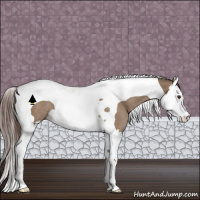 Horse Color:Bay Dun Splash Tobiano Varnish Rabicano 