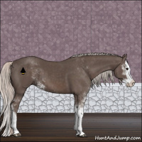 Horse Color:Silver Black Sabino Splash 