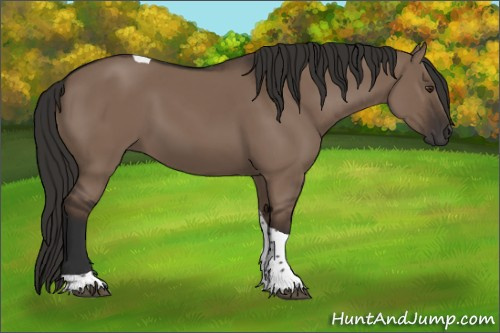 Horse Color:Liver Red Dun Tobiano 