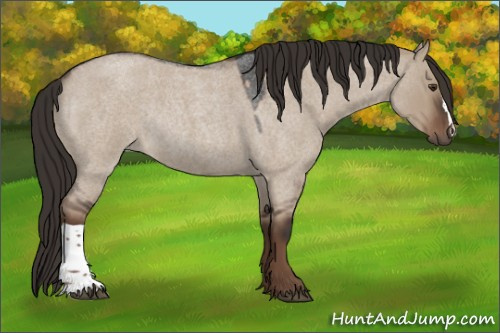 Horse Color:Liver Red Dun Roan Rabicano 