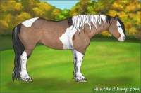 Horse Color:Brown Dun Splash Tobiano 
