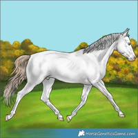 Horse Color:Smoky Grullo Pearl Tobiano Varnish 