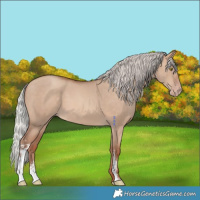 Horse Color:Silver Sable Champagne Dun Sabino 