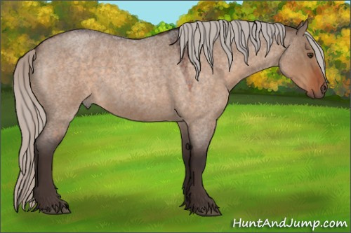 Horse Color:Silver Brown Roan Dun 