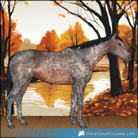 Horse Color:Gray Bay Ice 
