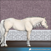 Horse Color:Silver Amber Cream Champagne Pearl Tobiano 