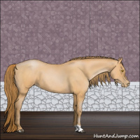 Horse Color:Bay Roan Pearl 