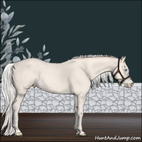 Horse Color:Silver Perlino 