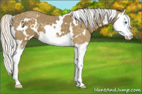 Horse Color:White Spotted Silver Smoky Black Sabino Splash 