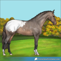 Horse Color:Brown Dun Snowcap Brindle 