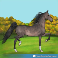 Horse Color:Platinum Brown 