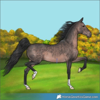 Horse Color:Platinum Brown 