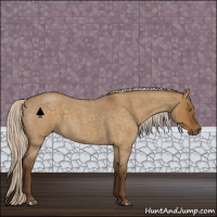 Horse Color:Silver Buckskin Roan Dun 