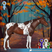 Horse Color:Gray Chocolate Bay Tobiano 