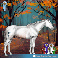 Horse Color:Gray Chocolate Bay Tobiano 