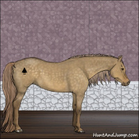 Horse Color:Chocolate Palomino Roan Dun 