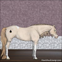 Horse Color:Perlino Roan Tobiano 
