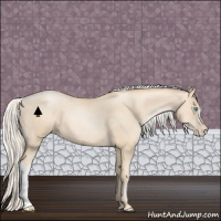Horse Color:Gold Cream Champagne Pearl 