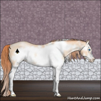 Horse Color:Amber Champagne Pearl Splash Frame Rabicano 