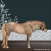 Horse Color:Liver Chestnut Pearl Rabicano 