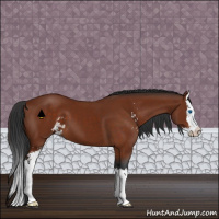 Horse Color:Brown Sabino Splash 