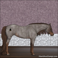Horse Color:Liver Red Roan 