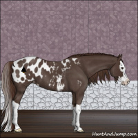 Horse Color:Liver Red Roan Sabino Splash Blanket 