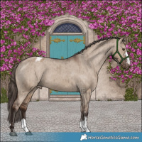 Horse Color:Liver Red Dun Appaloosa Brindle