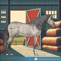 Horse Color:Liver Red Dun Appaloosa Brindle