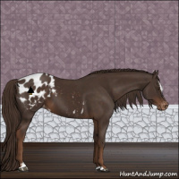 Horse Color:Liver Chestnut Sabino Blanket 