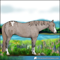 Horse Color:Liver Red Dun Varnish Brindle 