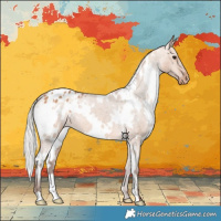 Horse Color:White Spotted Silver Bay Dun Appaloosa 