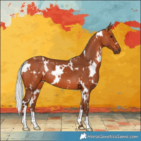 Horse Color:White Spotted Silver Bay 