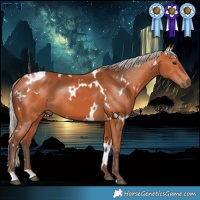 Horse Color:White Spotted Silver Bay 