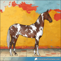 Horse Color:White Spotted Silver Brown Rabicano 