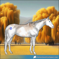 Horse Color:White Spotted Silver Bay Dun Splash Rabicano 