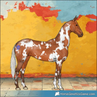Horse Color:White Spotted Silver Bay 