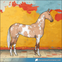 Horse Color:White Spotted Silver Bay Dun