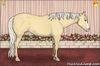Horse Color:Silver Amber Cream Champagne Dun Splash Rabicano