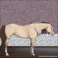 Horse Color:Amber Champagne Dun Splash Tobiano 