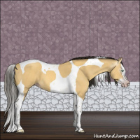 Horse Color:Gray Amber Cream Champagne Dun Splash Tobiano 