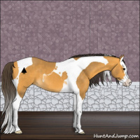Horse Color:Buckskin Splash Tobiano 