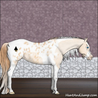 Horse Color:Red Dun Splash Tobiano Blanket 
