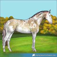 Horse Color:White Spotted Sable Champagne Pearl Onyx Sabino Splash 