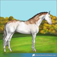 Horse Color:White Spotted Classic Champagne Dun Splash Brindle 