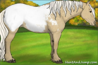Horse Color:Silver Smoky Grullo Snowcap 